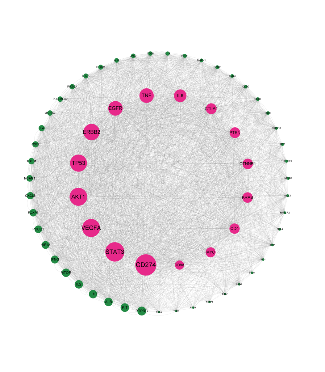 PPI网络构建分析